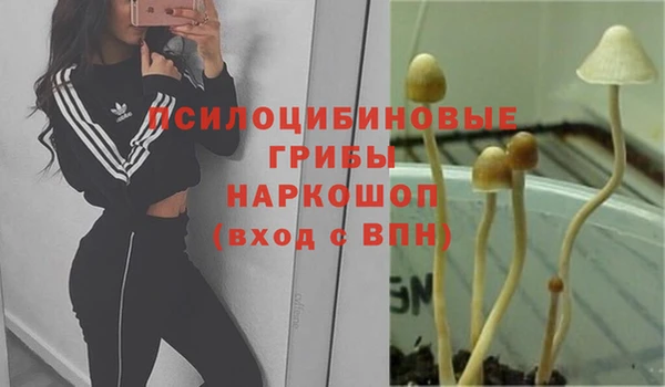 героин Арсеньев