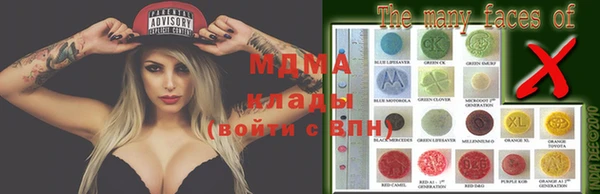 ГАЛЛЮЦИНОГЕННЫЕ ГРИБЫ Аркадак