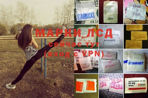 ГАЛЛЮЦИНОГЕННЫЕ ГРИБЫ Аркадак