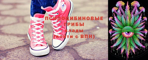ГАЛЛЮЦИНОГЕННЫЕ ГРИБЫ Аркадак