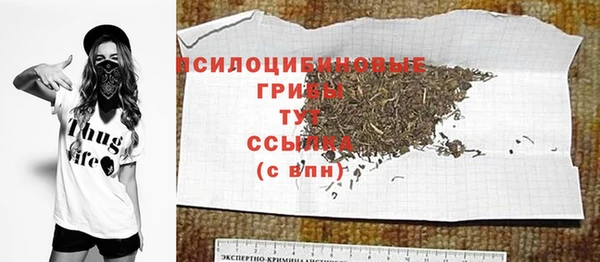 ГАЛЛЮЦИНОГЕННЫЕ ГРИБЫ Аркадак
